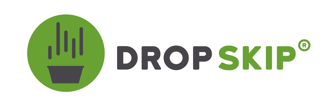 DROPSKIP LLC logo