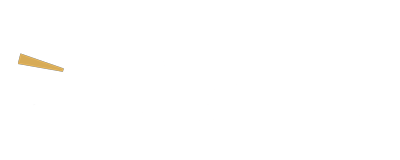 DRUMFIRE PUBLIC AFFAIRS LLC logo