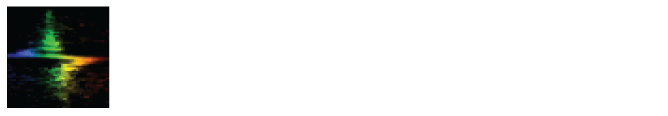 DS TECHNOLOGIES LLC logo