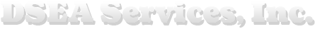 DSEA SERVICES INC logo