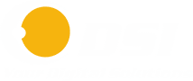 DSI DIGITAL SYSTEMS INSTALLATION, LLC. logo