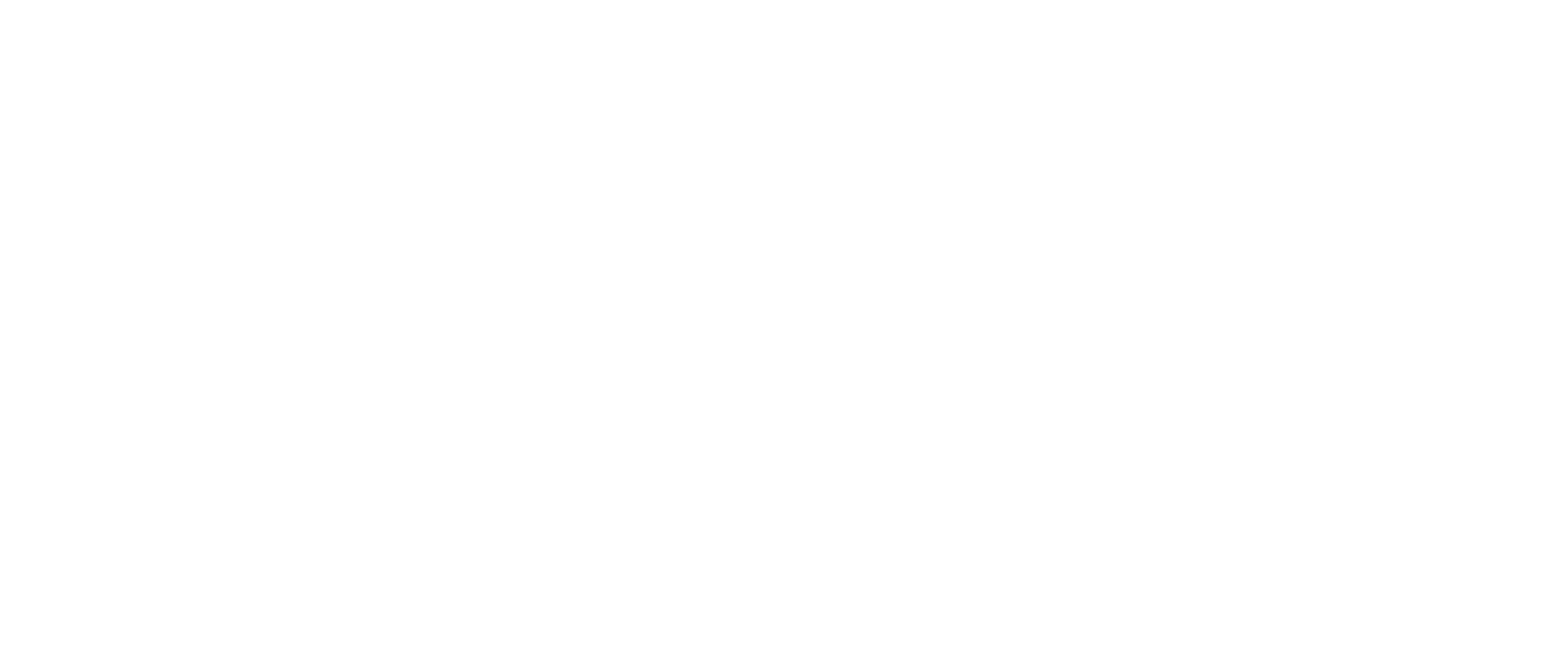DSM ENGINES LLC logo