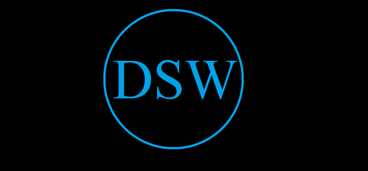 DSW SERVICES logo