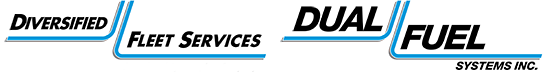 DUAL FUEL SYSTEMS INC logo
