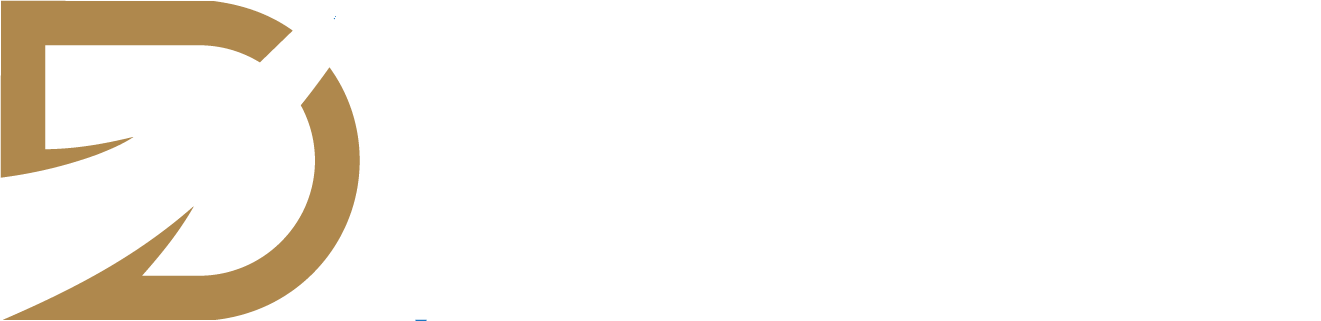 DUBINSKY CONSULTING LLC logo