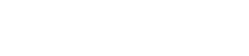 DUNATHAN CONSULTING LLC logo