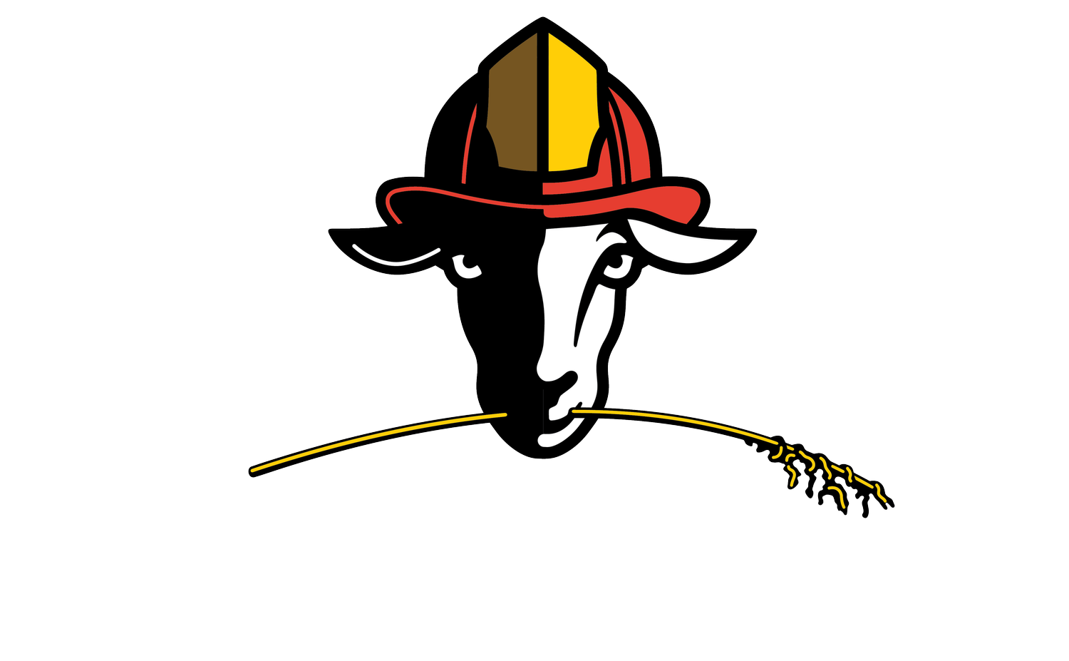 DURANGOATS LLC logo