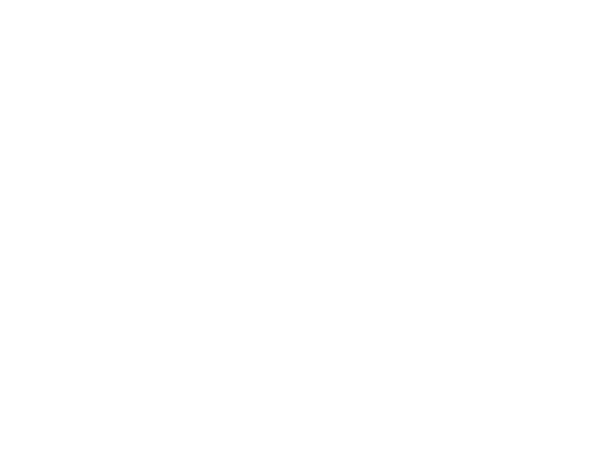 DV ENTERTAINMENT LLC logo