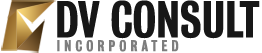 DVCONSULT INC logo