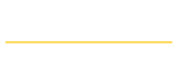 DVORAK LLC logo
