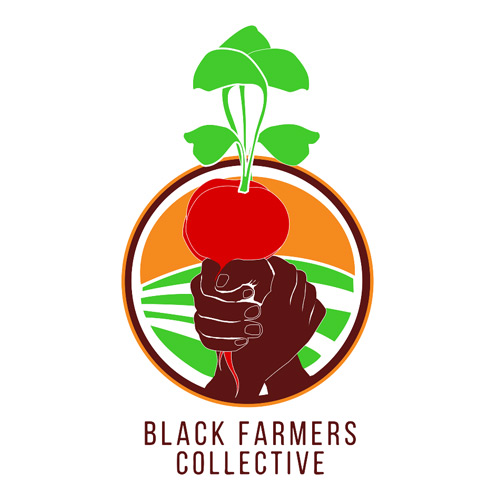 DYNAMIC AND INNOVATIVE RESEARCH SOLUTIONS, LLC logo