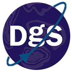 DYNAMIC GRAVITY SYSTEMS LLC logo