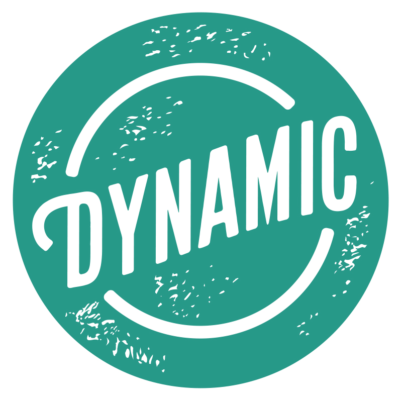 DYNAMIC INC logo