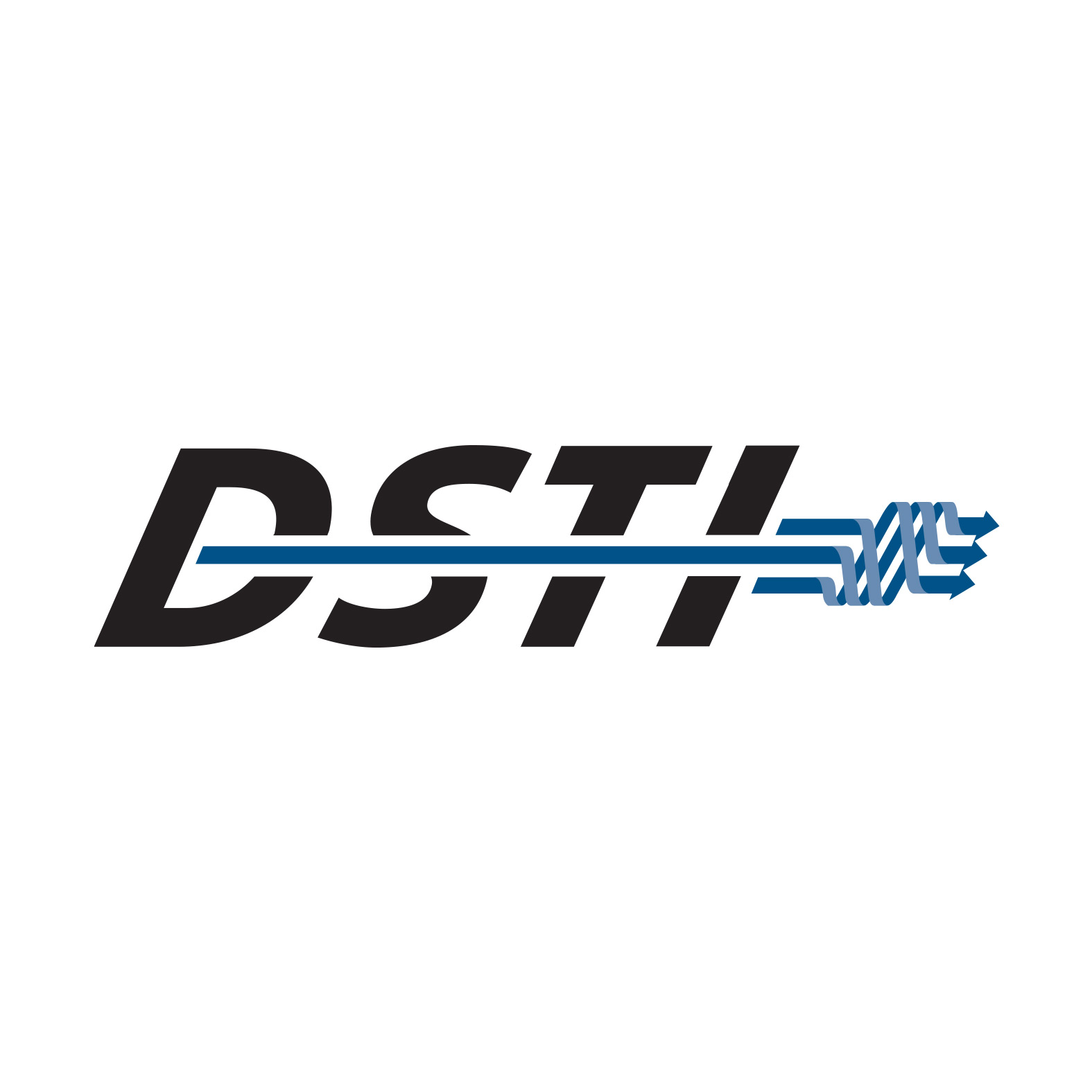 DYNAMIC SEALING TECHNOLOGIES LLC logo
