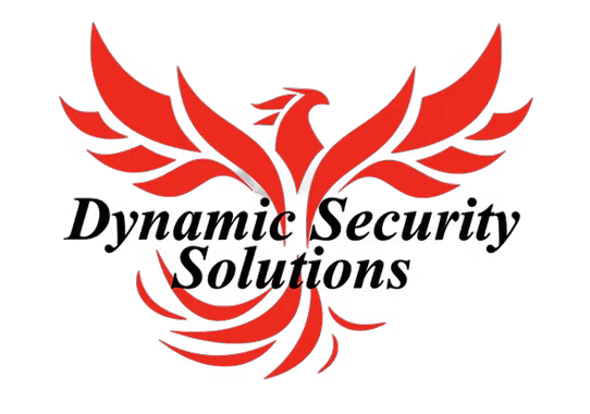 DYNAMIC SECURITY SOLUTIONS, LLC logo