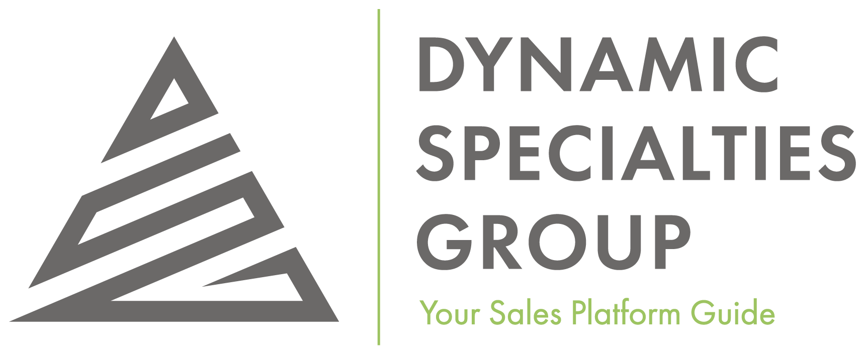 DYNAMIC SPECIALTIES GROUP LLC logo