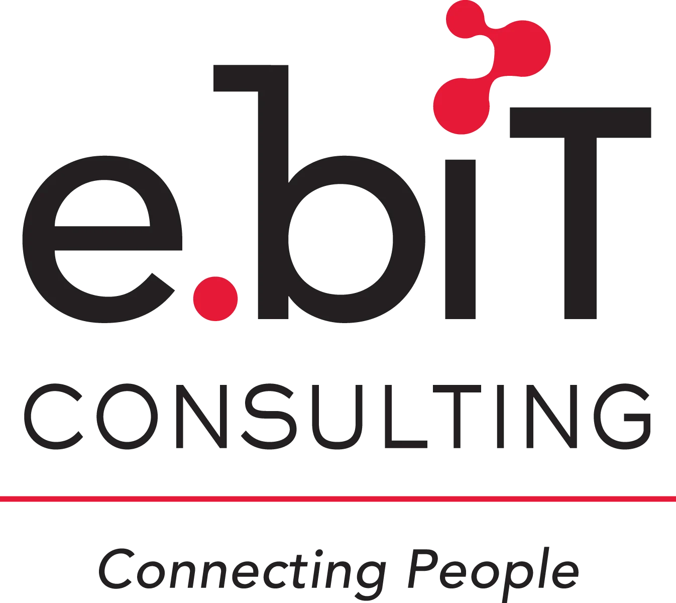 E.BIT CONSULTING logo