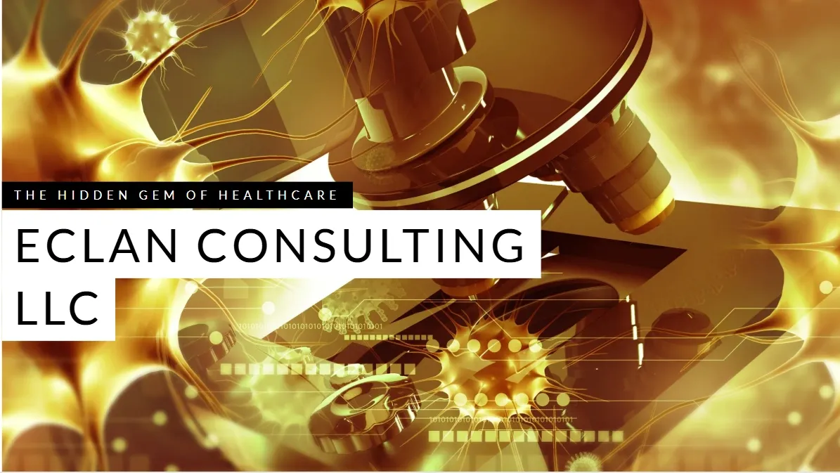 E-CLAN CONSULTING, LLC logo