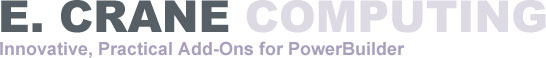 E CRANE COMPUTING INC logo