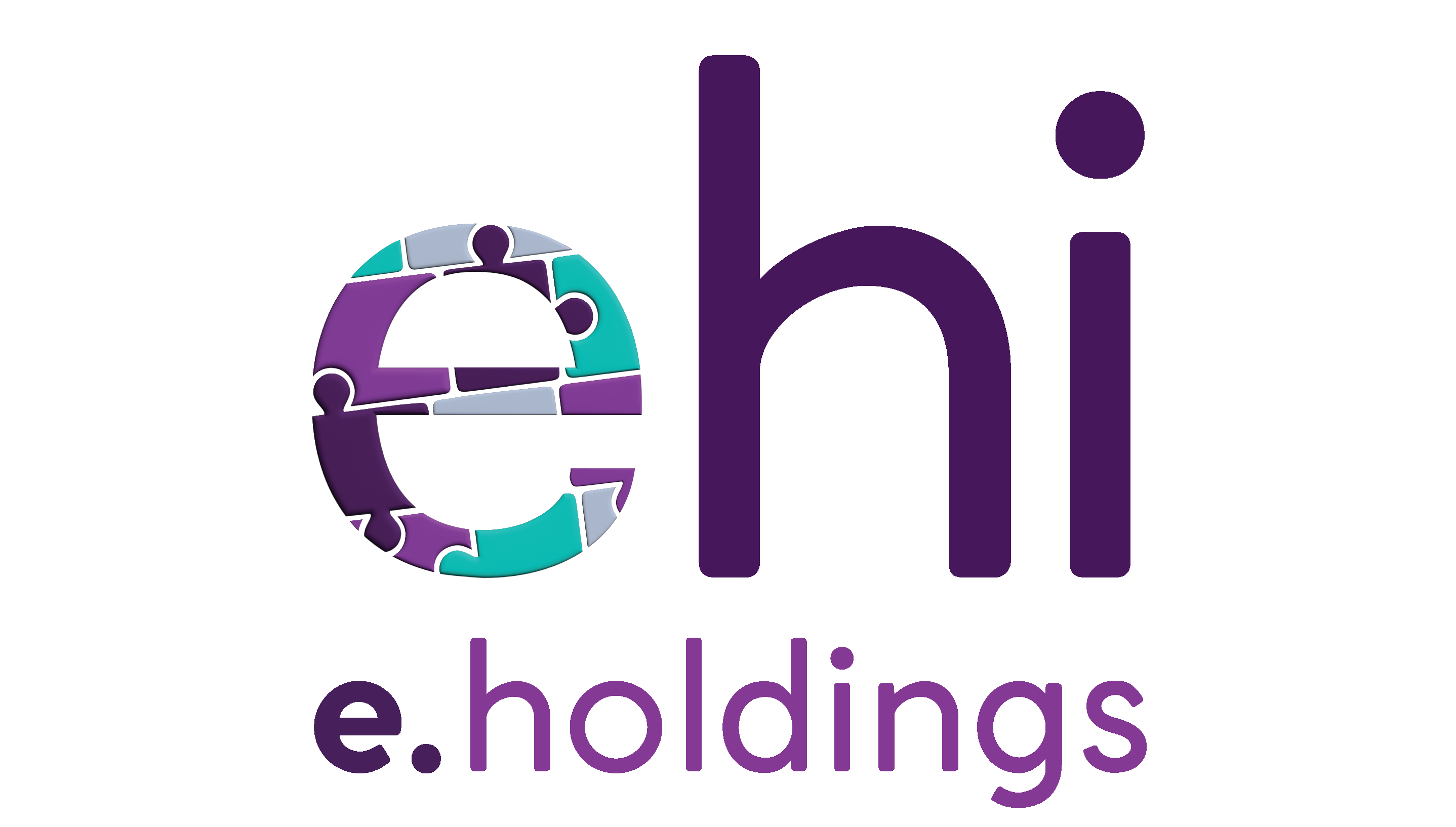 E. HOLDINGS, INC logo