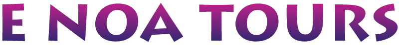 E NOA TOURS logo