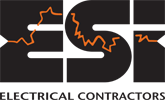 E. S. I INC logo