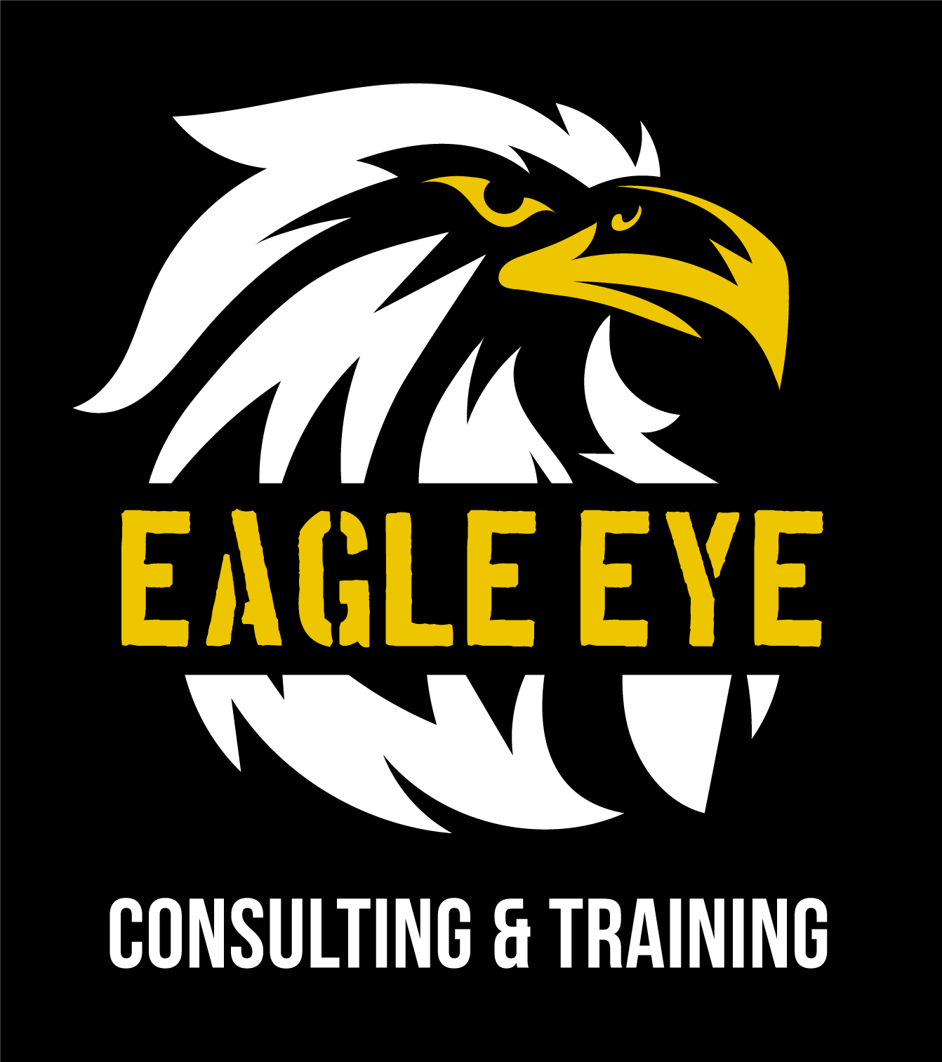 EAGLE EYE CONSULTING & TRAINING, INC logo