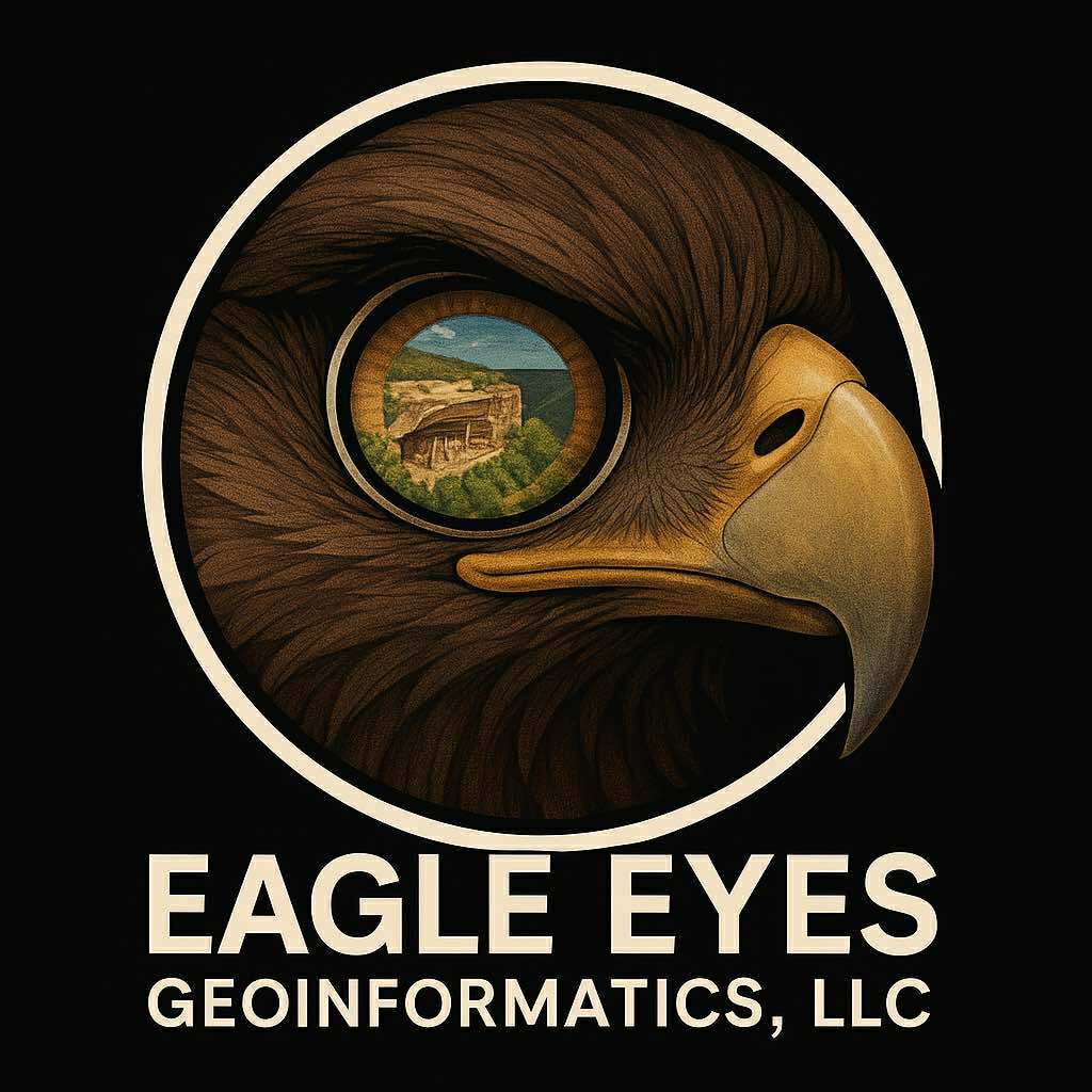 EAGLE EYE GEOINFORMATICS LLC logo