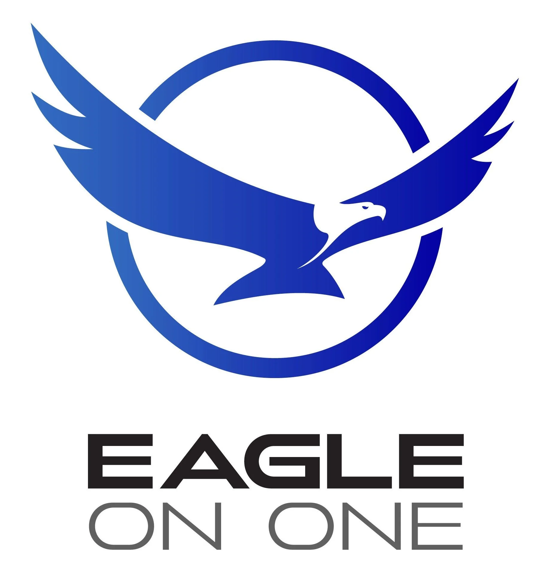 EAGLE ON ONE LLC logo