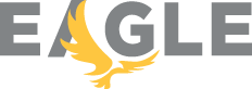 EAGLE SECURE SOLUTIONS LLC logo
