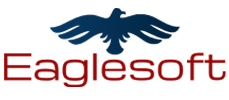 EAGLESOFT INC logo