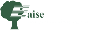 EAISE SNOW SERVICES LLC logo