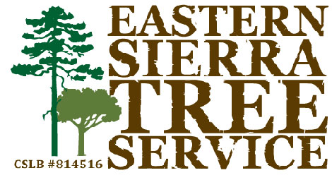 EASTERN SIERRA TREE SERVICE INC logo