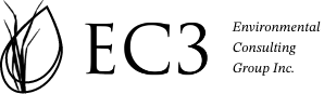EC3 ENVIRONMENTAL CONSULTING GROUP INC logo