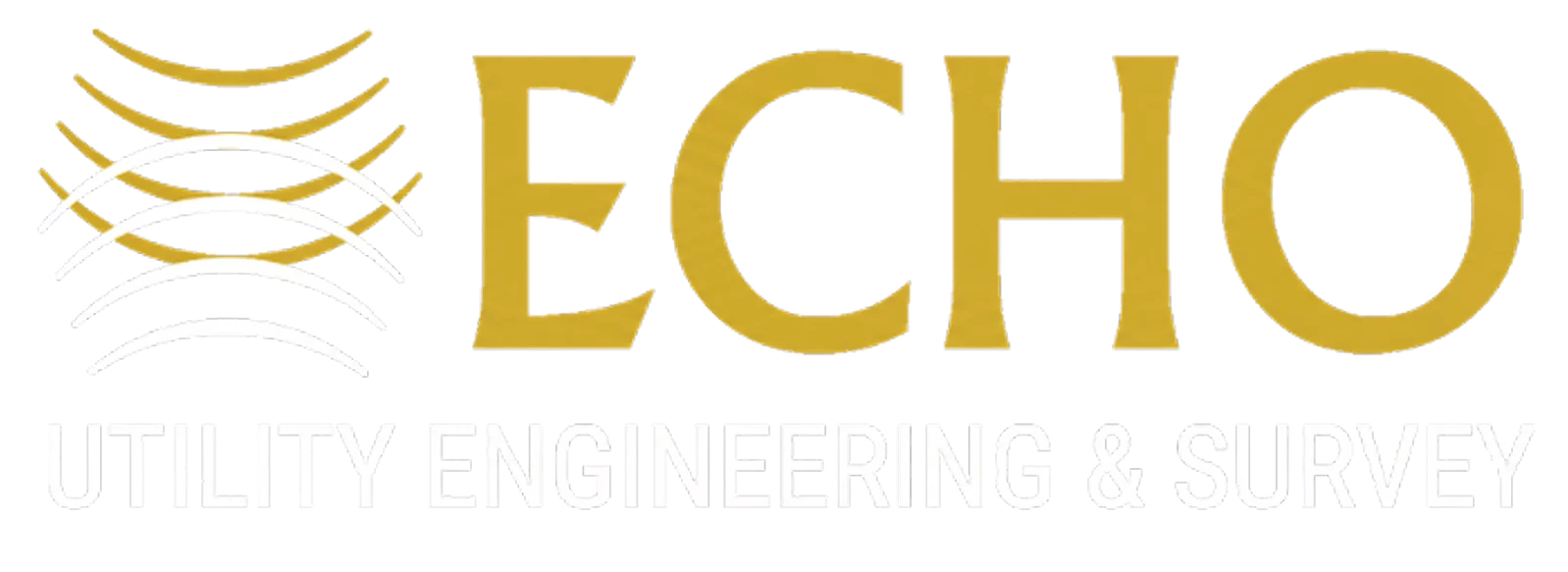 ECHO UES INC logo
