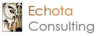 ECHOTA CONSULTING LLC logo