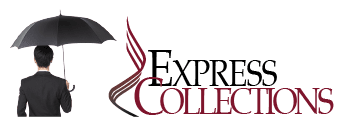ECI logo
