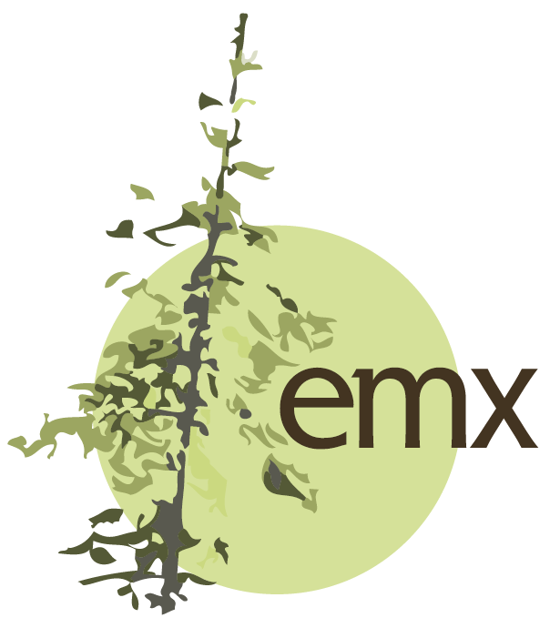 ECOMETRIX SOLUTIONS GROUP LLC logo