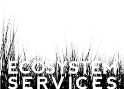 ECOSYSTEM SERVICES LLC logo