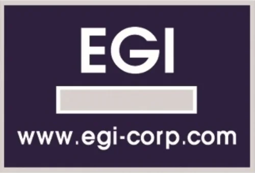 EDIFICE GROUP INC logo