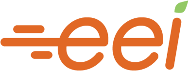 EEI GROUP, LLC logo