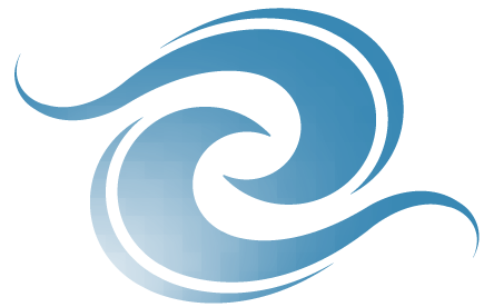 EFIIA CONSULTING LLC logo