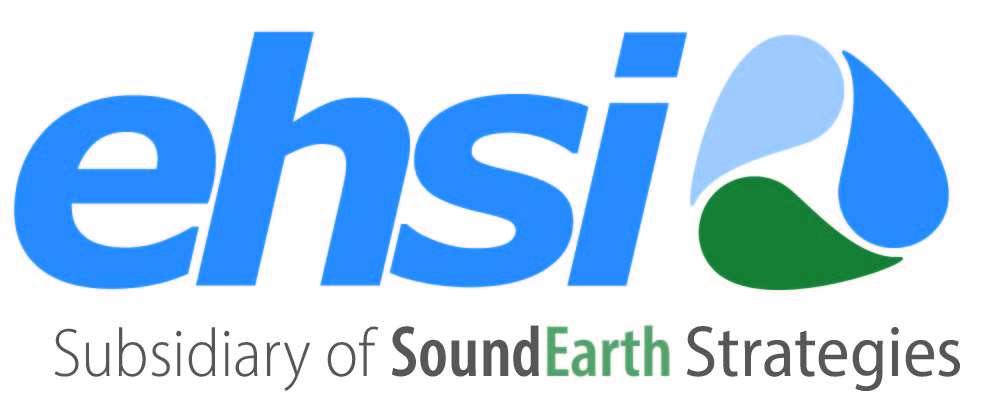 EHS INTERNATIONAL INC logo