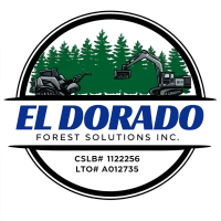 EL DORADO FOREST SOLUTIONS INC logo