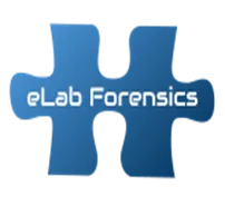 ELAB FORENSICS LLC logo