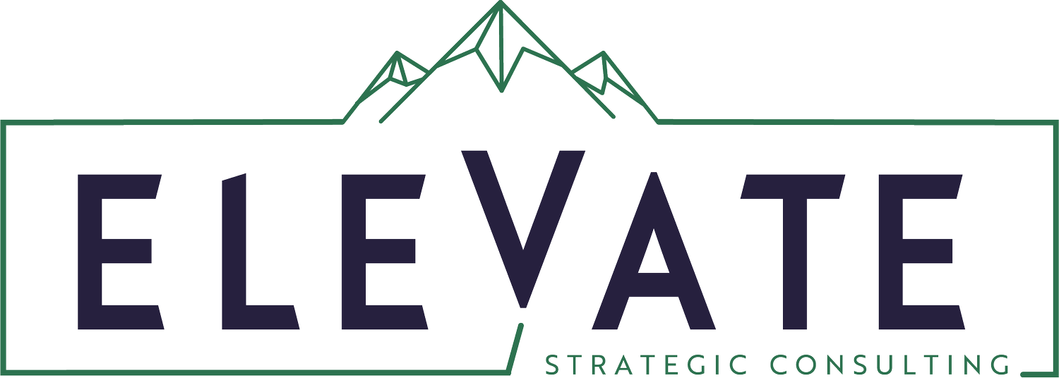 ELEVATE STRATEGIC CONSULTING, INC logo