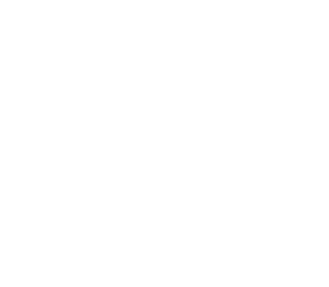 ELEVATE SYSTEMS logo