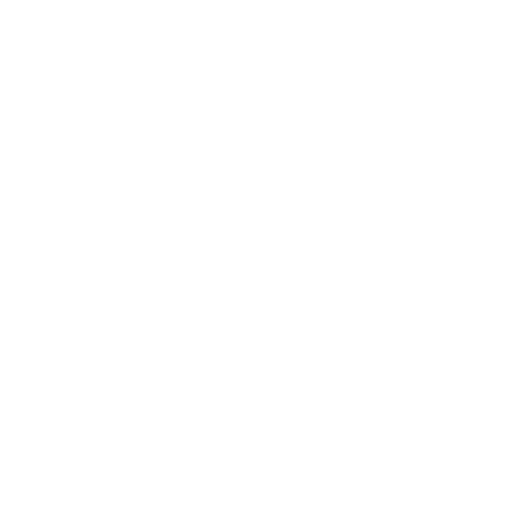 ELEVATION POINT INC logo