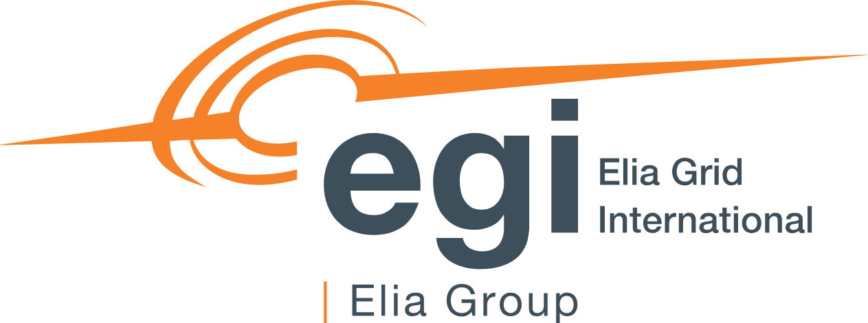 ELIA GRID INTERNATIONAL logo