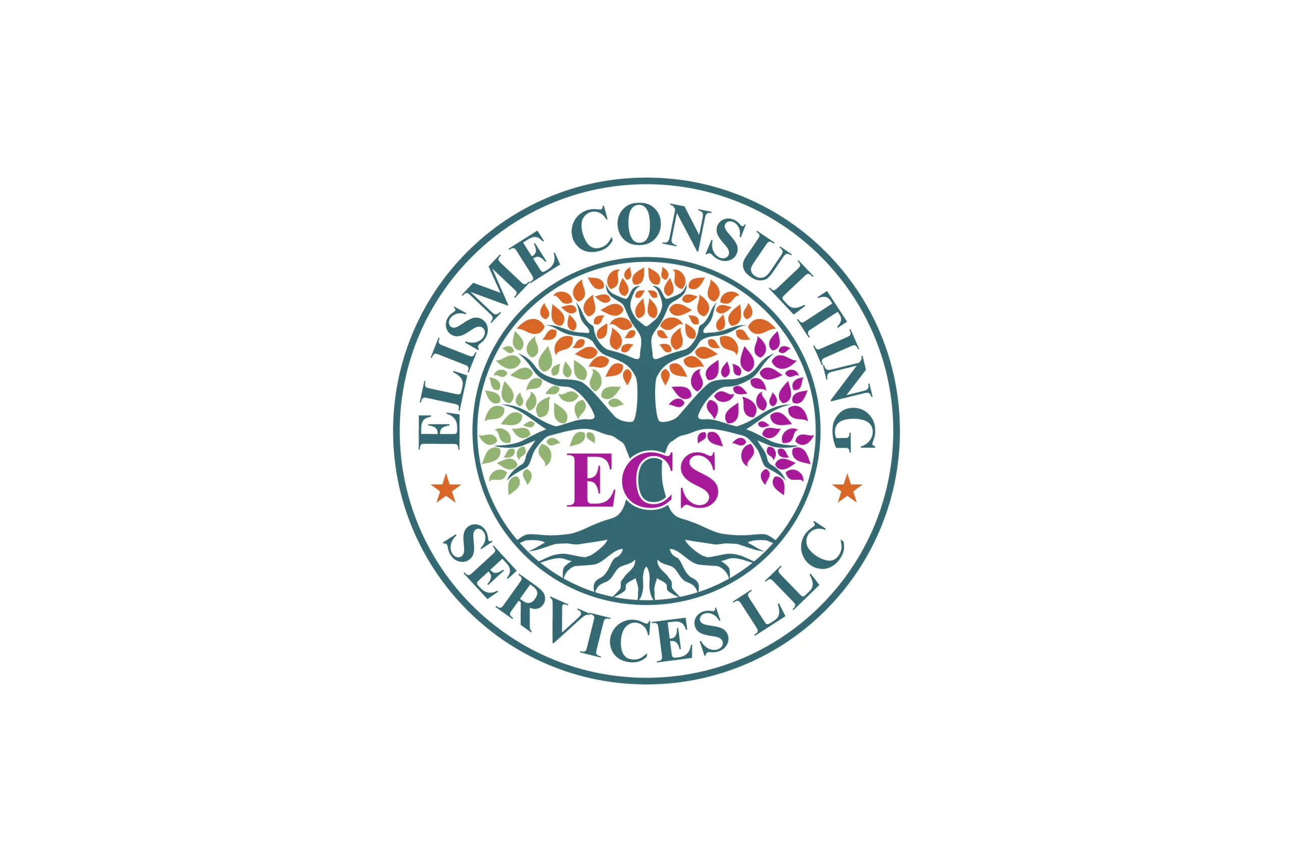 ELISME CONSULTING SERVICES logo